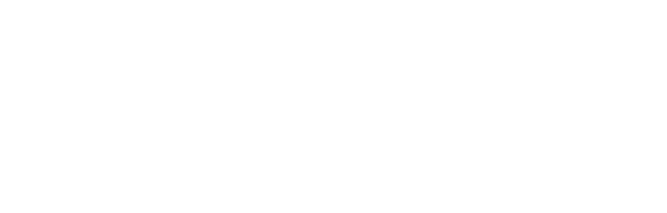 WDI GROUP